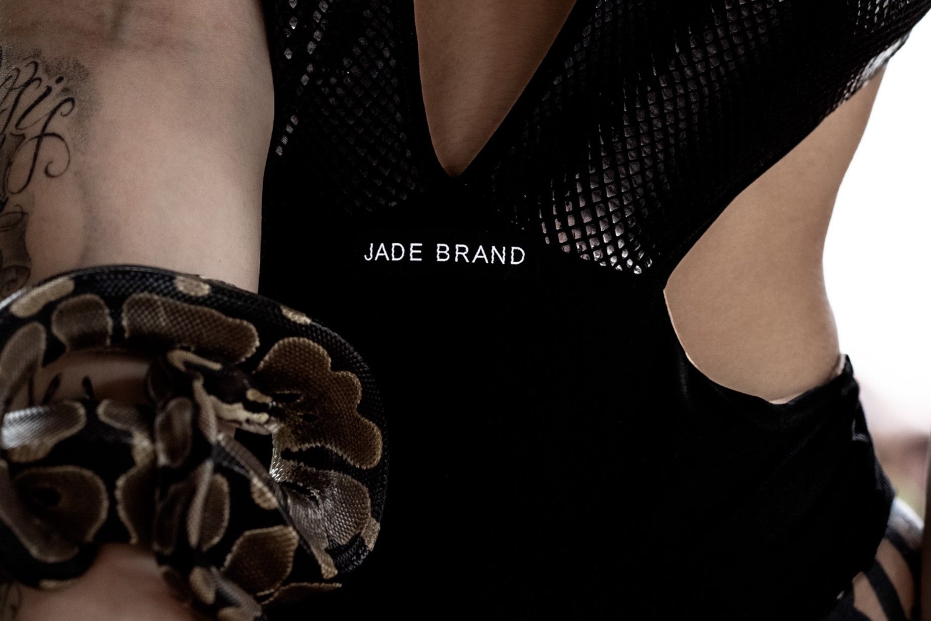 INCANTATRICE COLLECTION