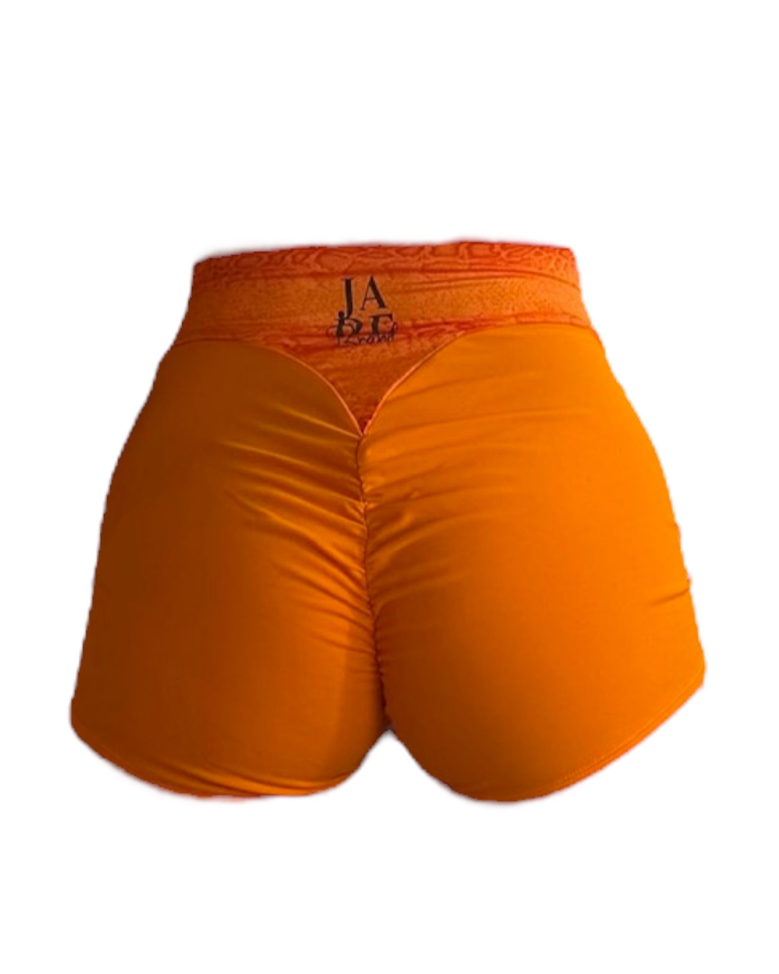 Short Vback Pantherophis